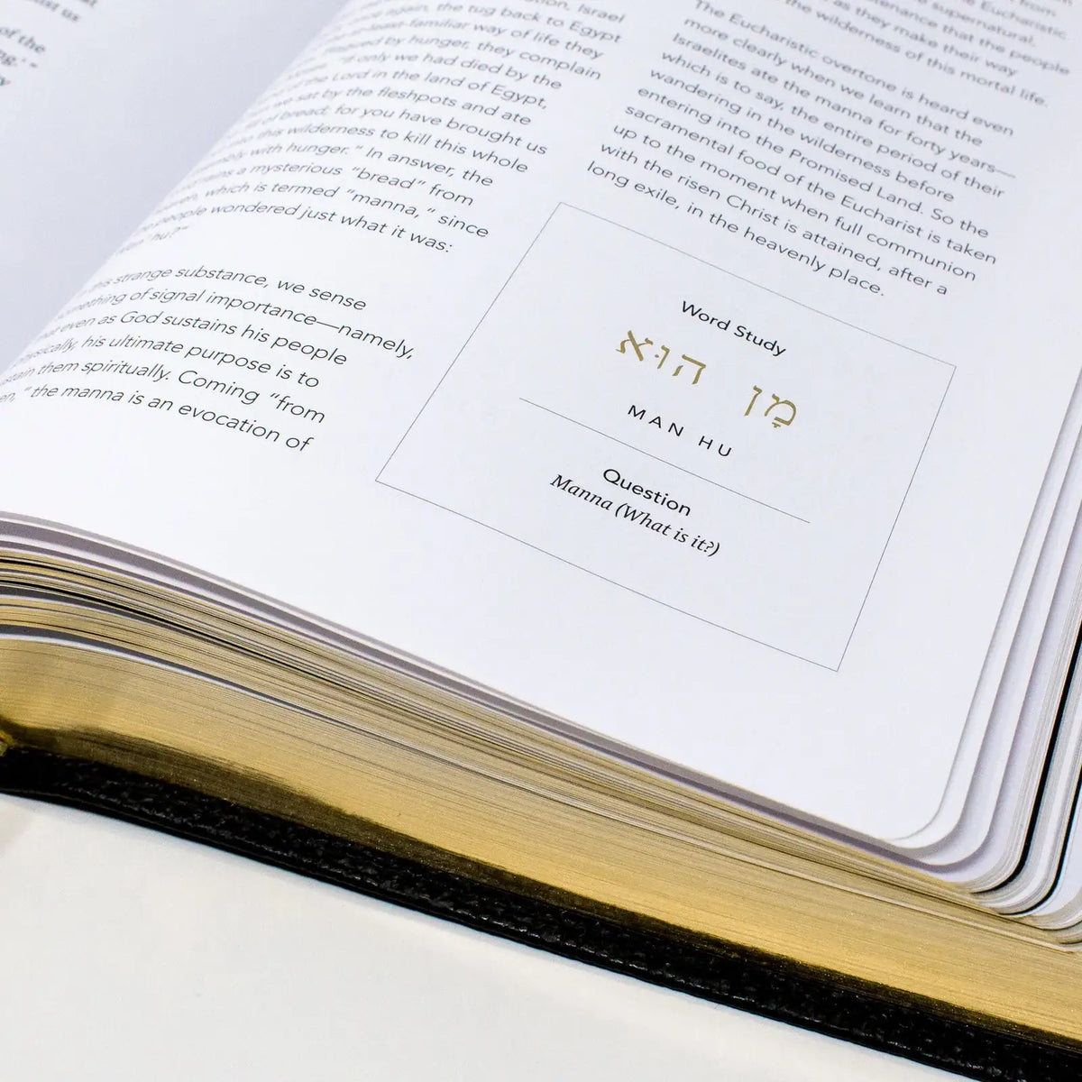 Large-Font Catholic Bible Volume III: The Pentateuch