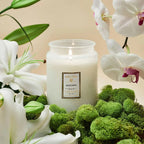 Large Jar Candle, 18oz Scented Home Fragrance with Embossed Glass Design and Approximately 100-Hour Burn