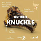 Large Ostrich Knuckle Dog Chew Bone for Moderate and Powerful Chewers, 5.5-Inch Long-Lasting Treat
