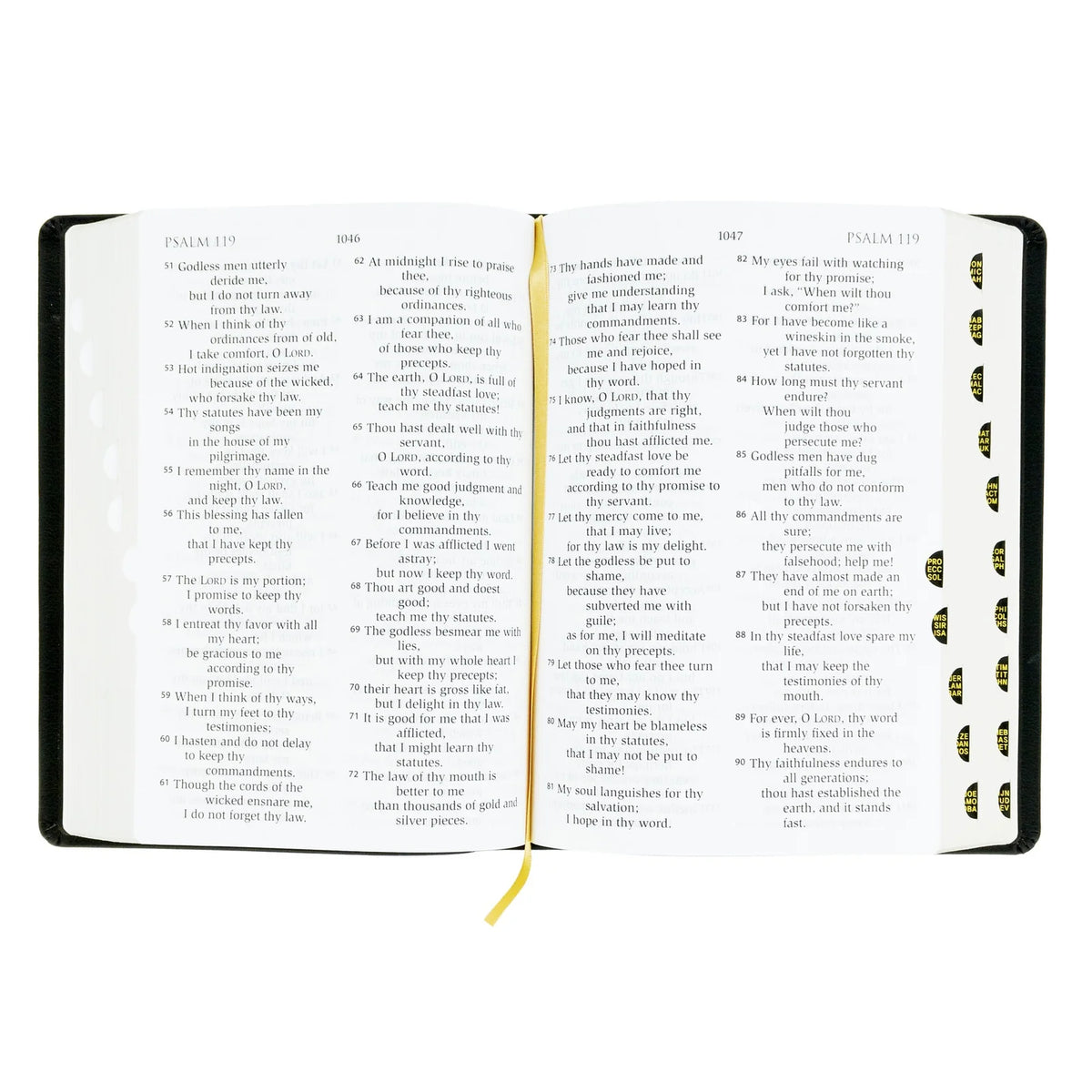 Large Print RSV Catholic Bible