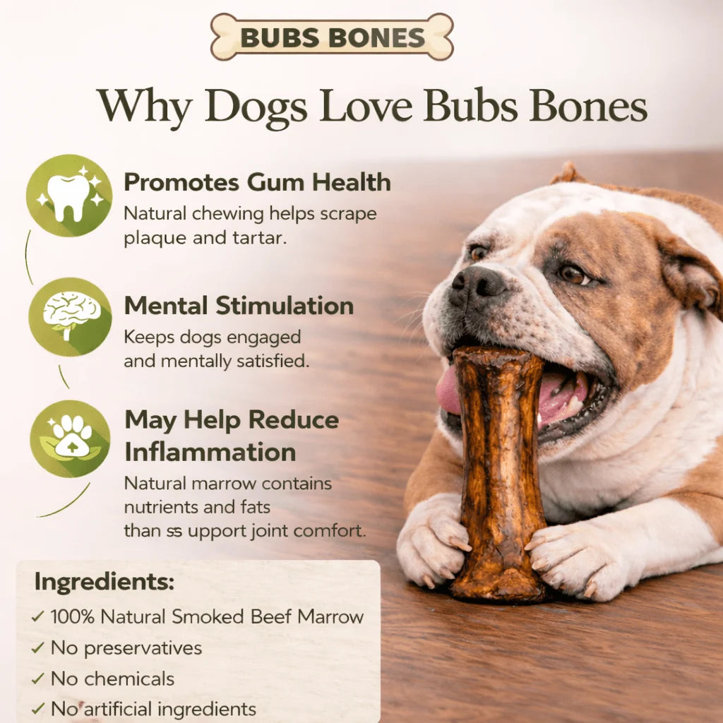 Large Smoked Beef Marrow Bone for Dogs Over 60 lb, Slow-Smoked in Small Batches and Approximately 6–8 Inches