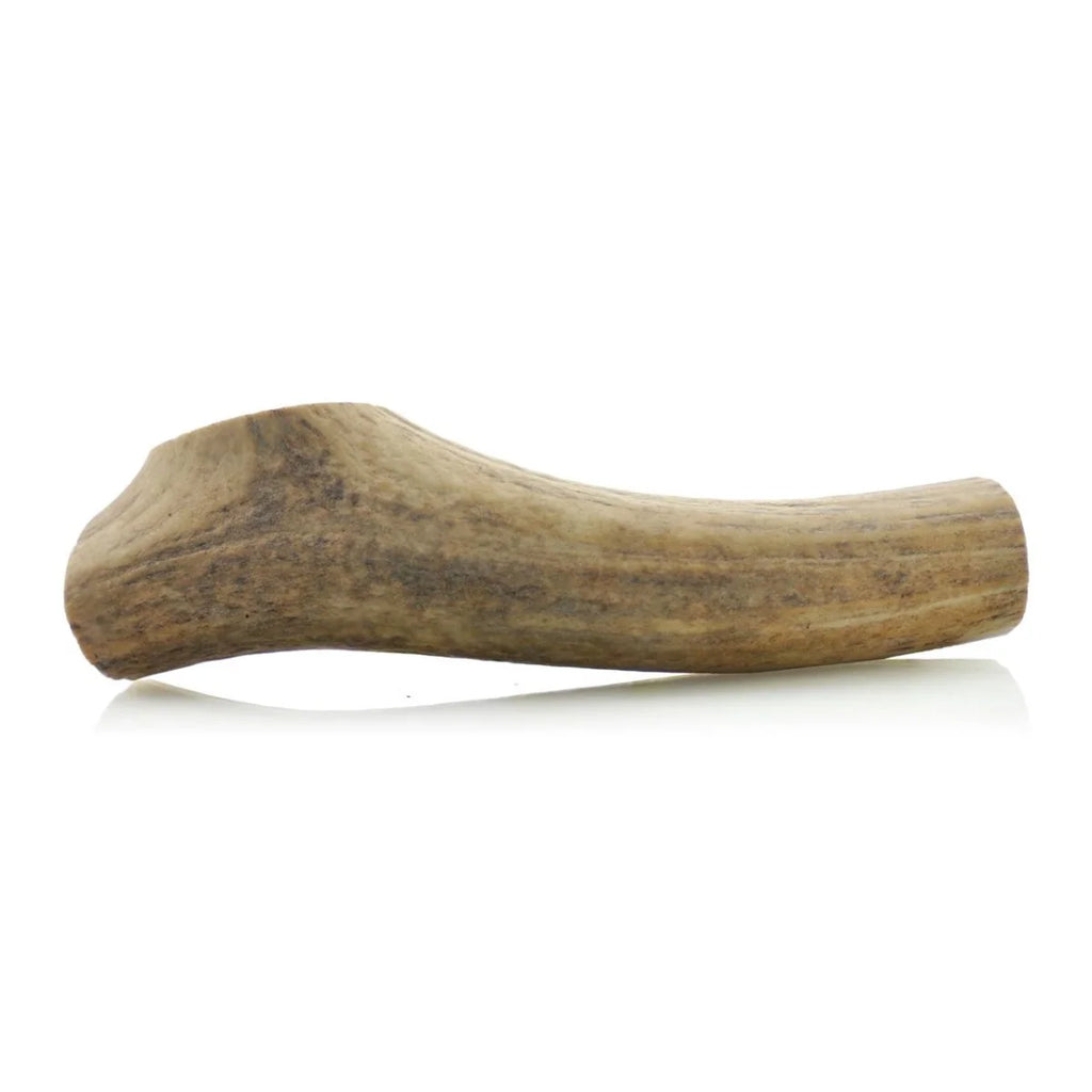 Large Whole Elk Antler Dog Chew
