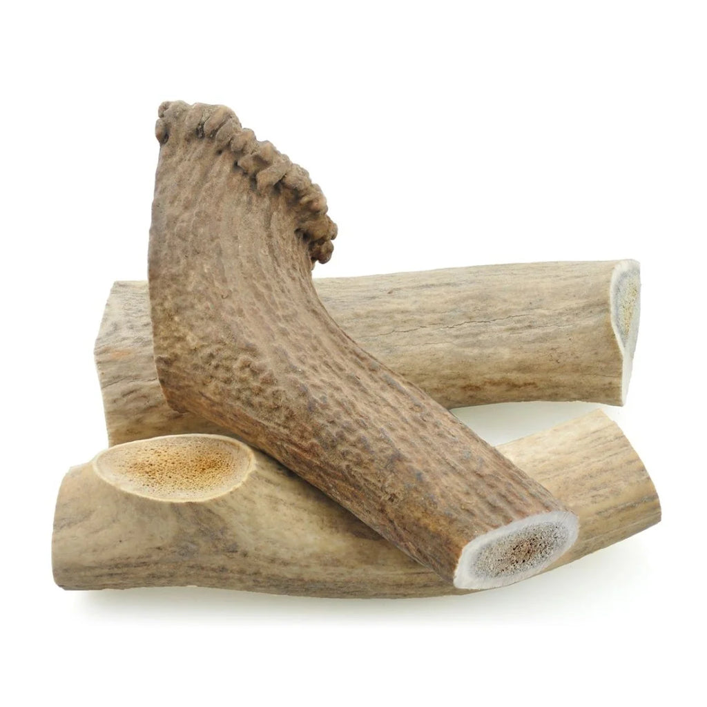 Large Whole Elk Antler Dog Chew
