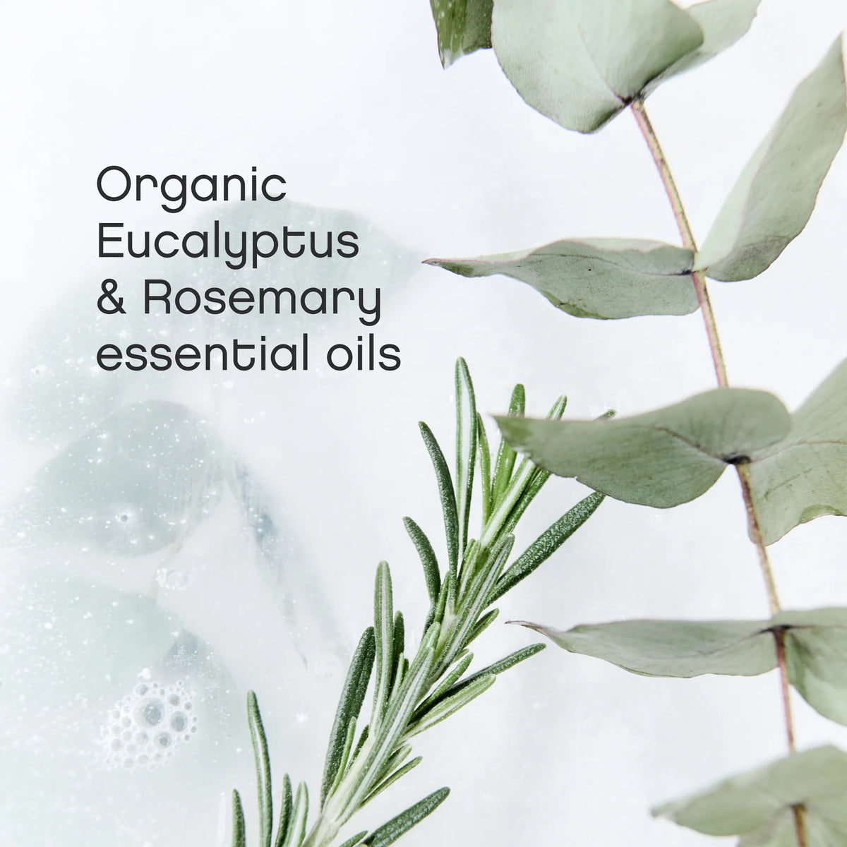 Laundry Detergent Pods with Eucalyptus and Rosemary Oils, Hypoallergenic 36-Pod Plastic-Free Container