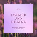 Lavender and Sage Fragrance Capsule with Cinnamon Warmth for Calming Home Scent and Up to 3 Months of Fragrance
