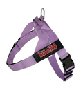 Lavender Dog Harness