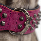 Leather Dog Collar in Pink and Black with Pyramid Studs, Wide Fit, Double-Layered Construction and Multiple Neck Sizes