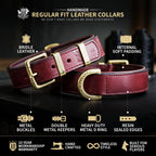 Leather Dog Collar in Pink with Chrome Hardware, Roller Buckle and Secure D-Ring for Everyday Wear