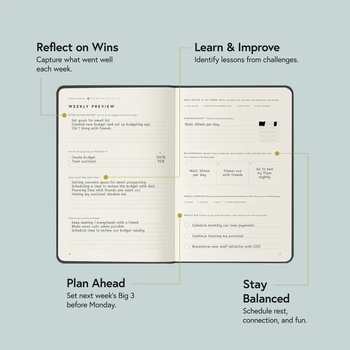 Daily Planner Annual Subscription