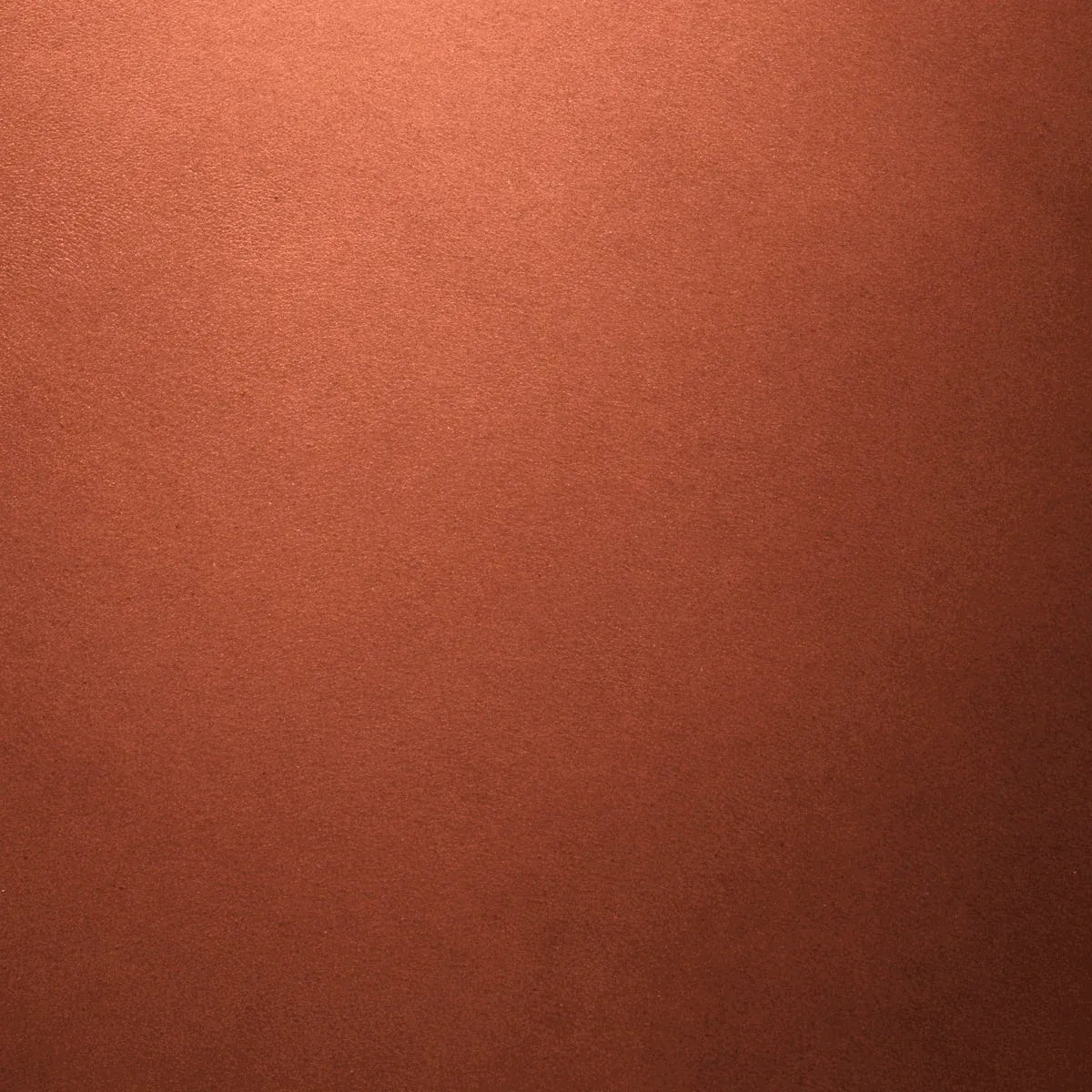 Leather Portfolio