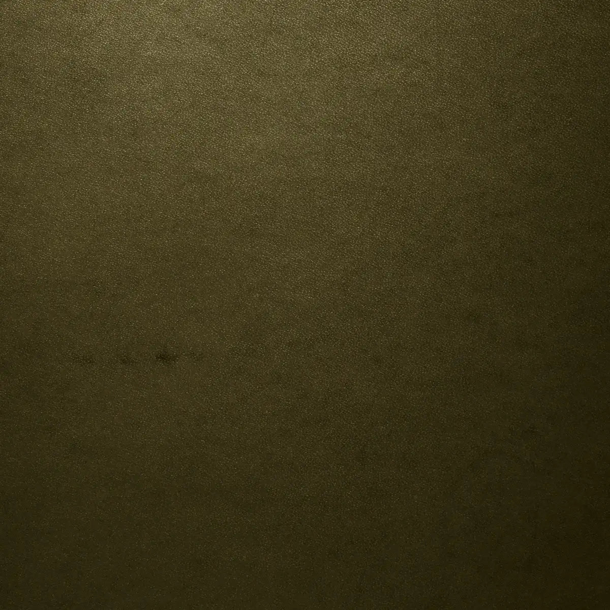 Leather Portfolio