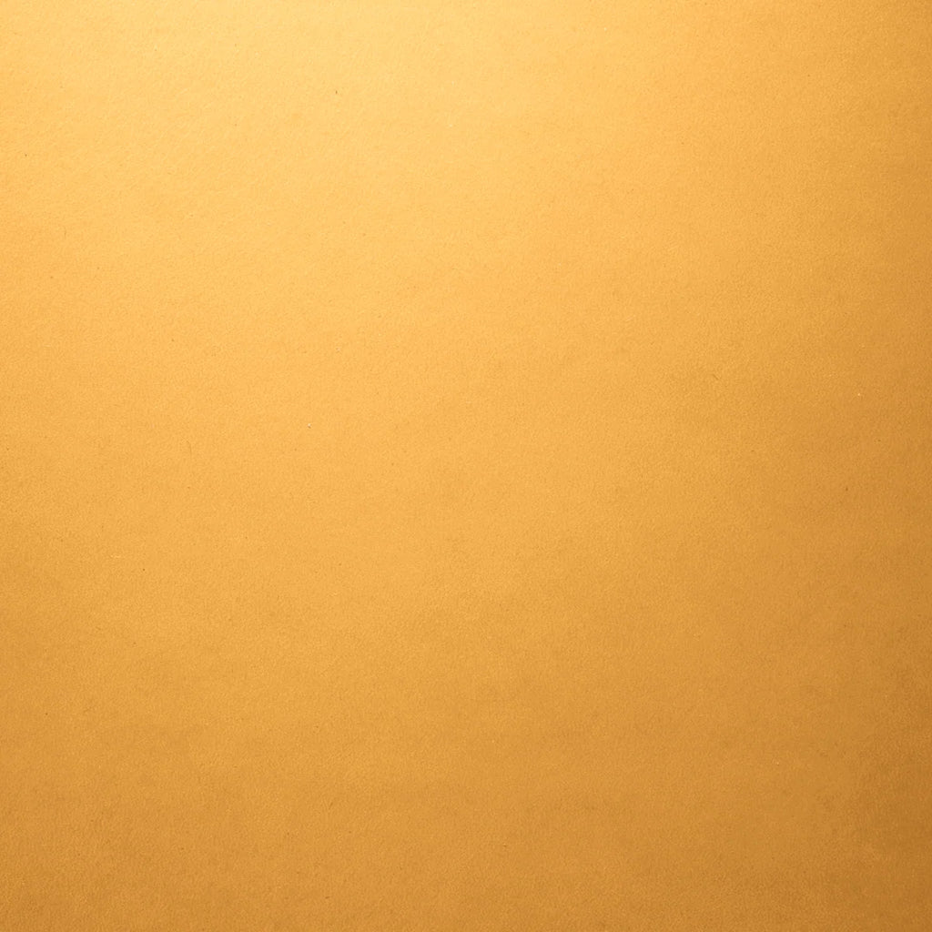 Leather Portfolio