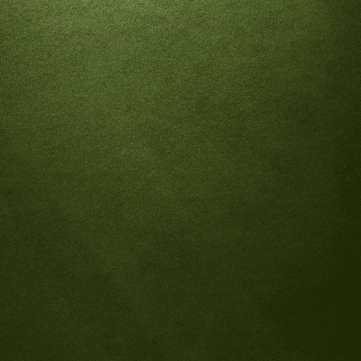 Leather Portfolio