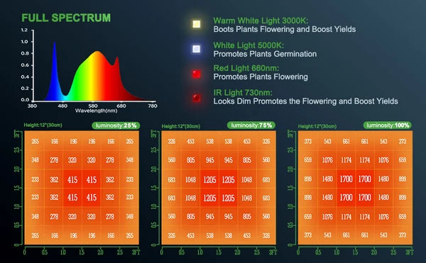 LED Grow Light