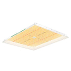 LED Grow Light