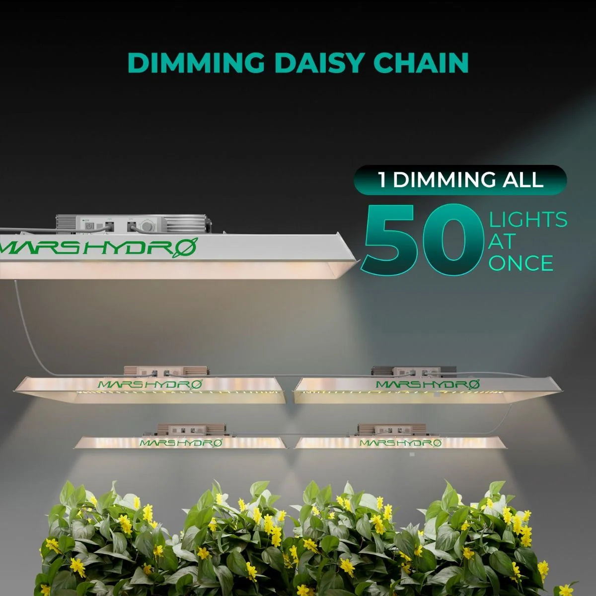 LED Grow Light