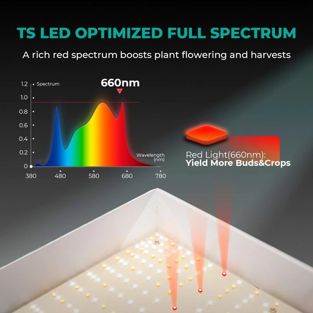 LED Grow Light