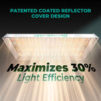LED Grow Light