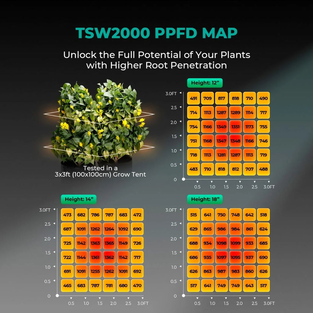 LED Grow Light