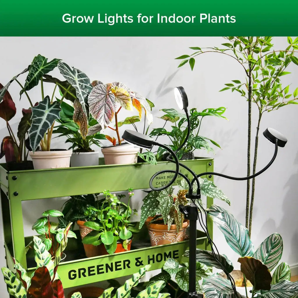LED Grow Light with a 35–65 Inch Adjustable Tripod and Three Flexible Heads for Indoor Houseplants