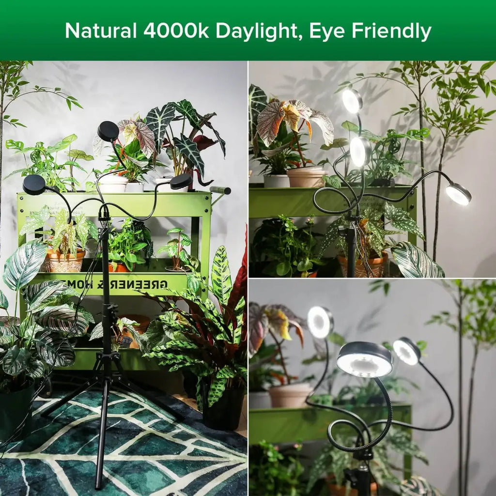 LED Grow Light with a 35–65 Inch Adjustable Tripod and Three Flexible Heads for Indoor Houseplants