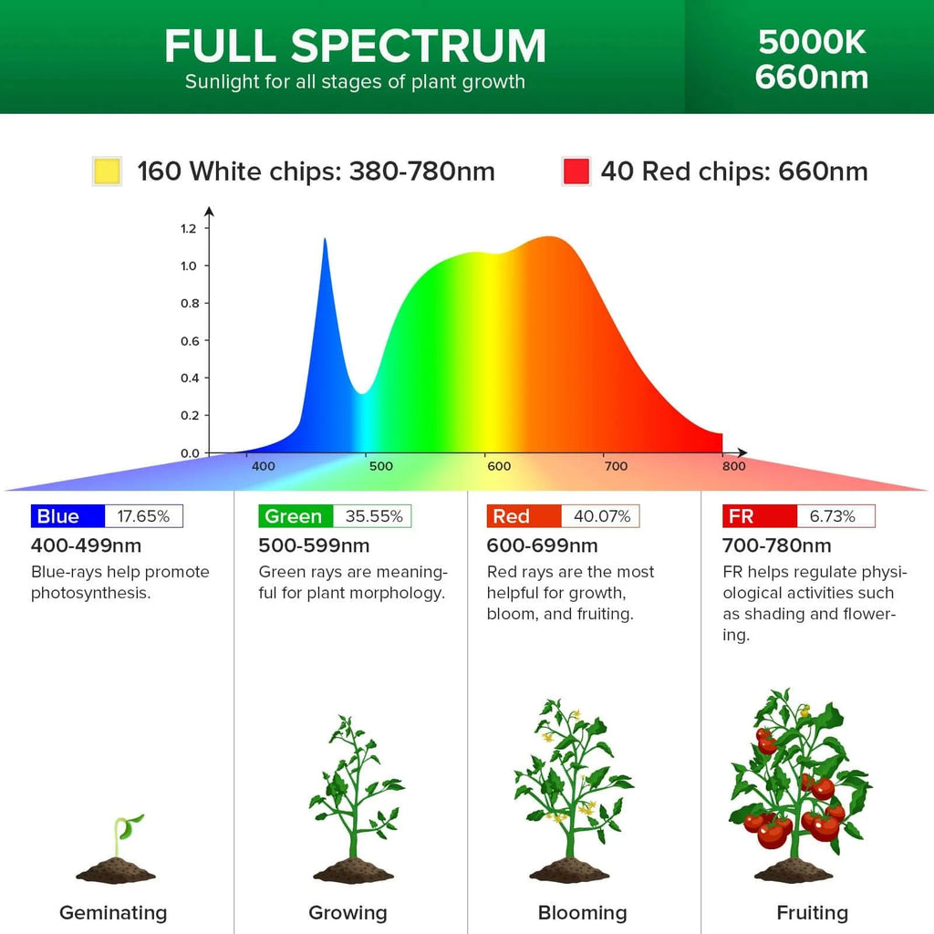 LED Grow Light with Four 30W Bulbs and a 35–64 Inch Adjustable Tripod Stand for Indoor Plants