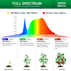 LED Grow Light with Four 30W Bulbs and a 35–64 Inch Adjustable Tripod Stand for Indoor Plants