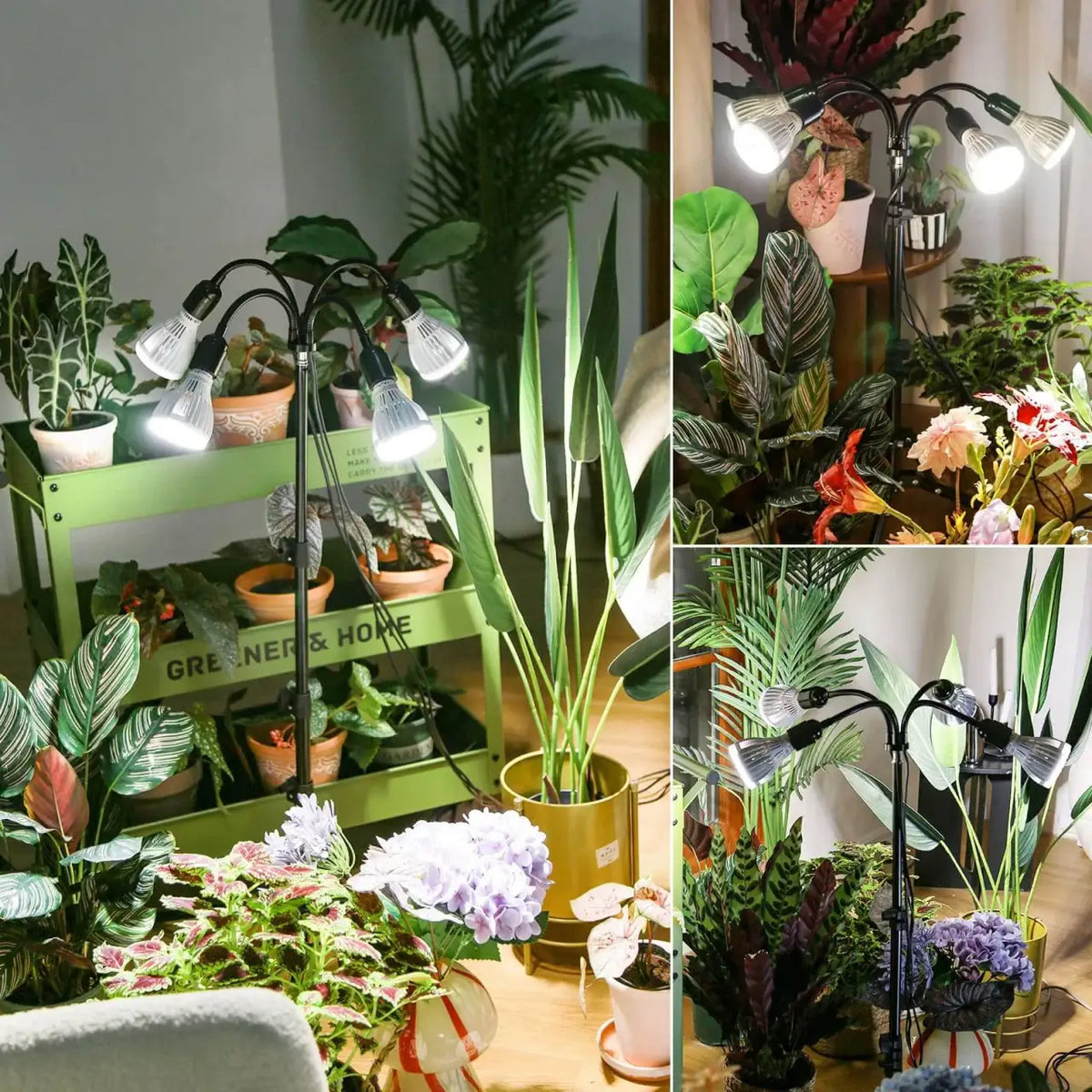 LED Grow Light with Four 30W Bulbs and a 35–64 Inch Adjustable Tripod Stand for Indoor Plants