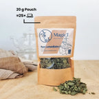 Lemon Balm Tea