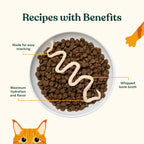 Lickable Cat Treats in a Chicken and Salmon Mousse Duo with Bone Broth, 12-Pack Handheld Packets