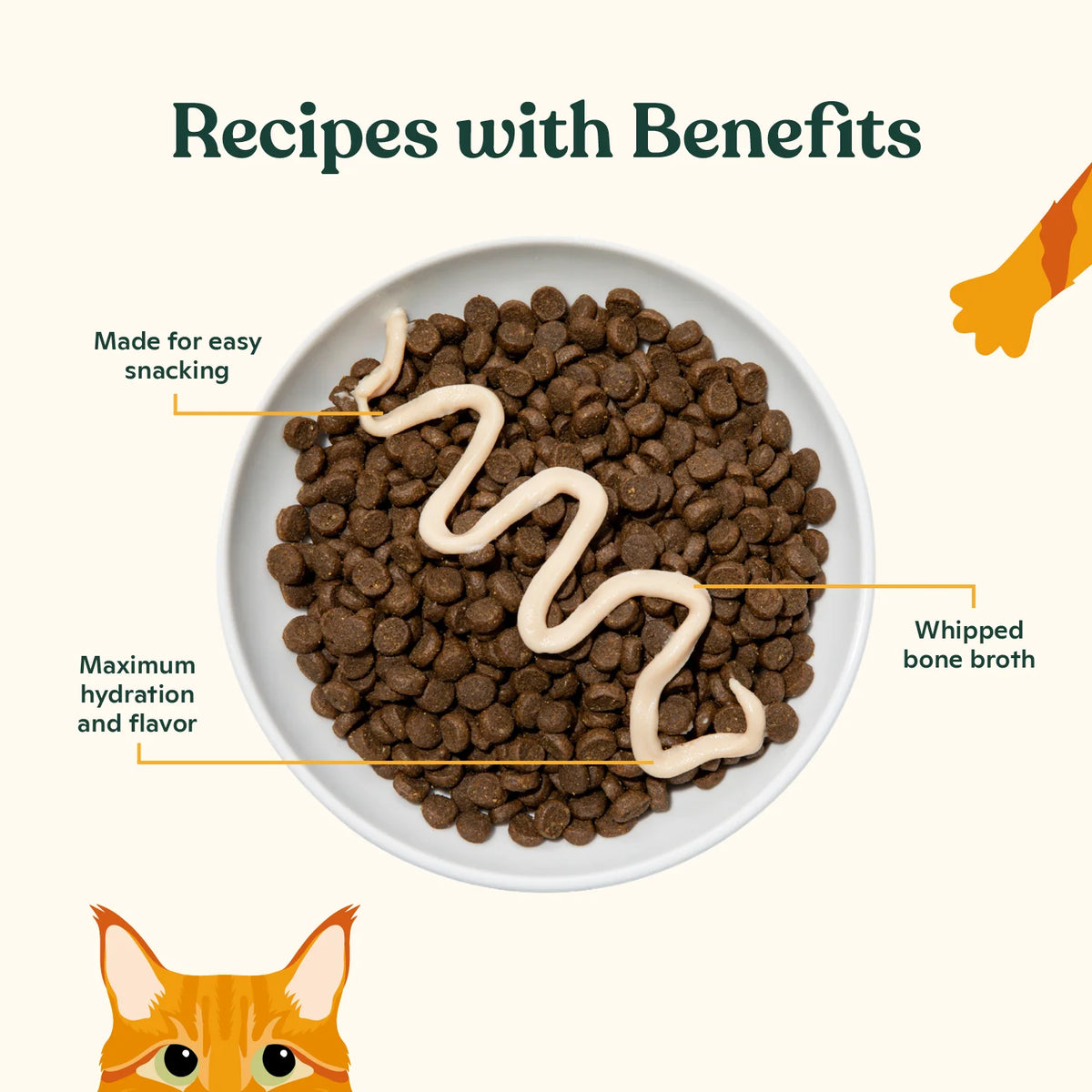 Lickable Cat Treats in a Chicken and Salmon Mousse Duo with Bone Broth, 12-Pack Handheld Packets