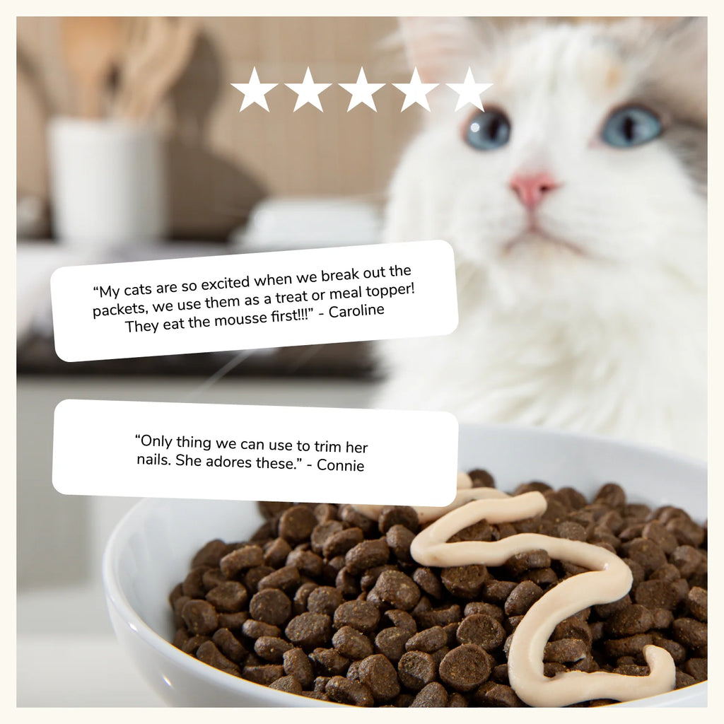 Lickable Cat Treats in a Chicken and Salmon Mousse Duo with Bone Broth, 12-Pack Handheld Packets