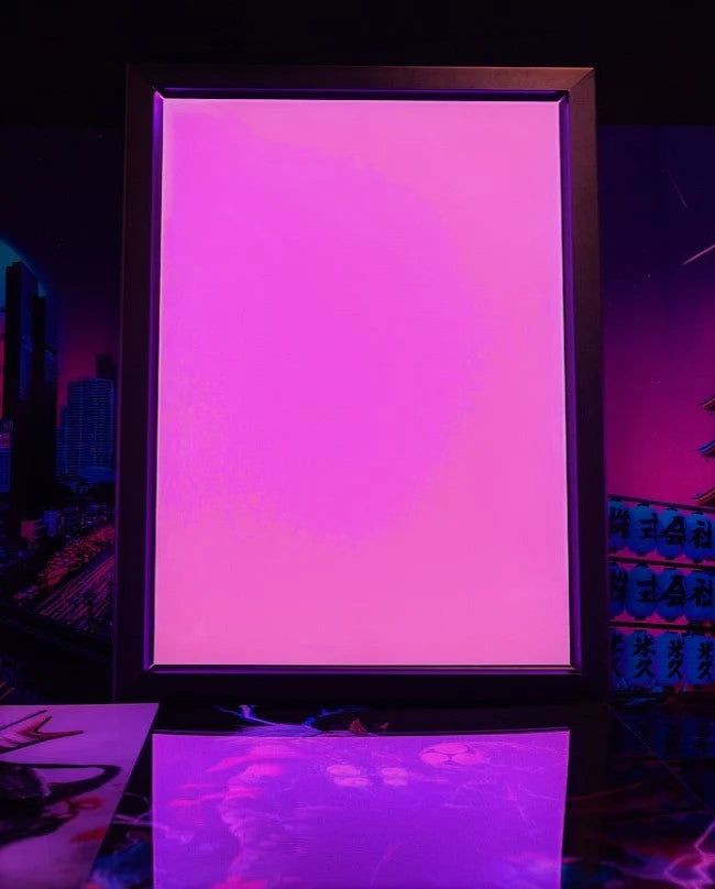 Lightbox Picture Frame for 16 x 24 Inch Artwork with Built-In LED Lighting and a Black Snap-Open Border