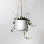 Lightweight Hanging Planter