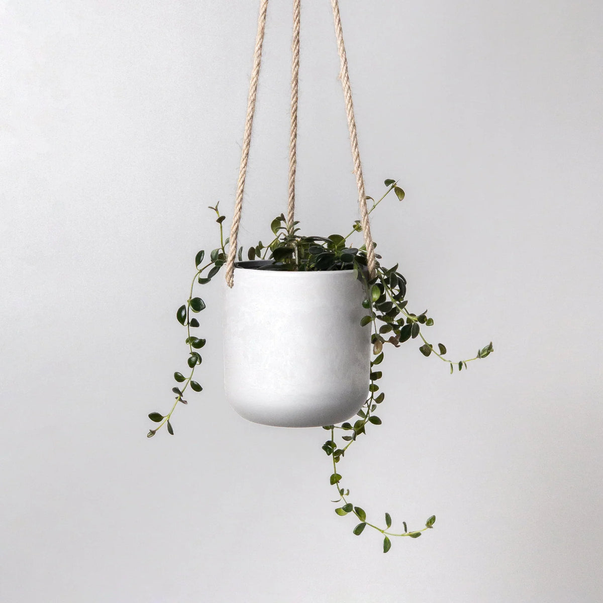 Lightweight Hanging Planter