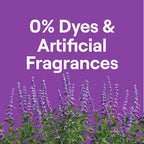 Liquid Laundry Detergent, 2x Concentrated Formula for HE and Cold-Water Washing in Lavender, Free & Clear, or Fresh Citrus