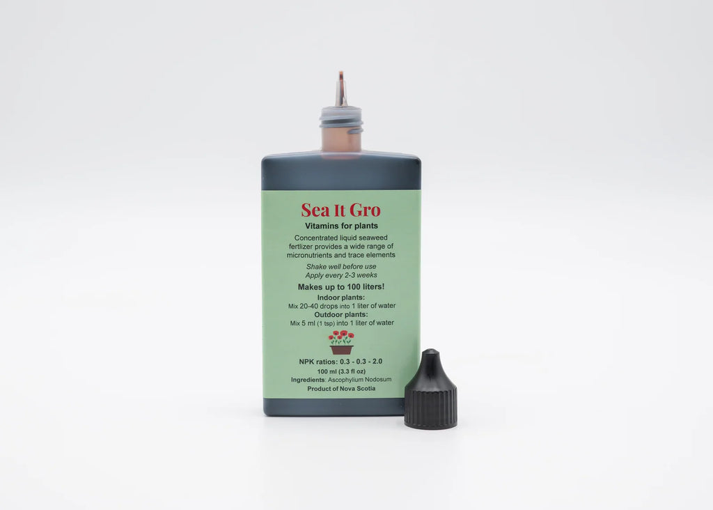 Liquid Seaweed Plant Fertilizer Concentrate, 100 ml Bottle for Indoor and Outdoor Plant Care