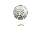 Live Mealworms for Reptiles, Birds and Exotic Pets in Small, Medium and Large Sizes for Varied Feeding