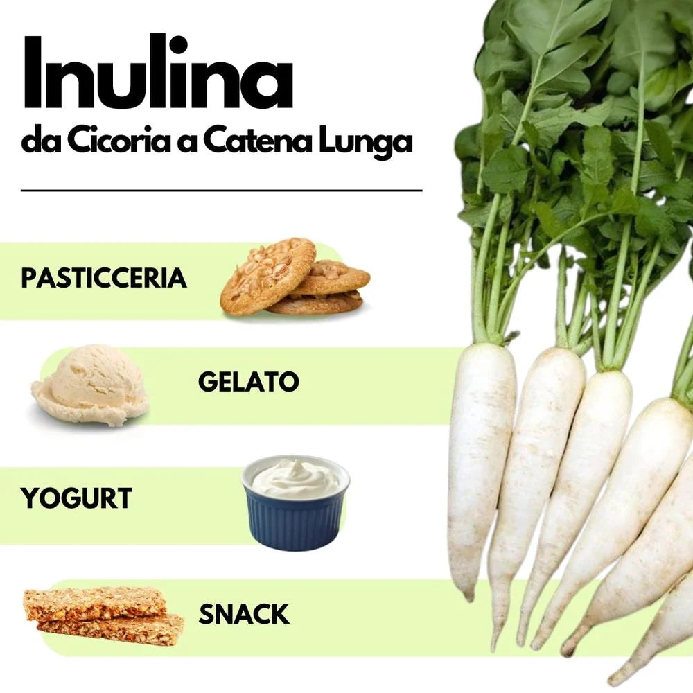 Long-Chain Inulin Powder from European Chicory Root
