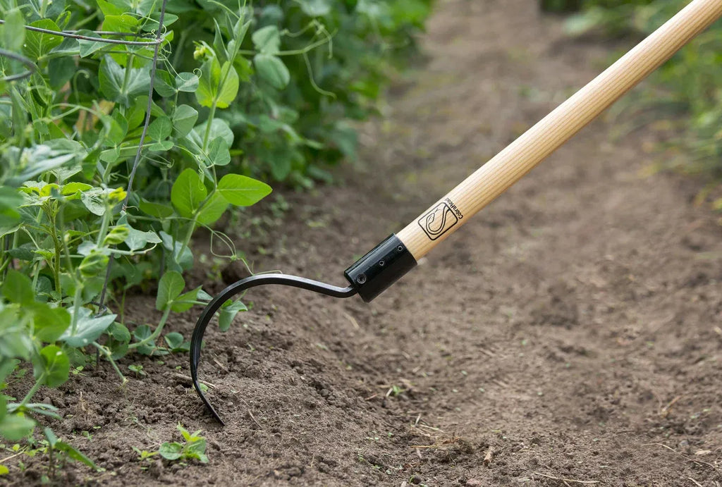 Long Handle Weeder and Cultivator for Standing Garden Work and Weeding Between Tightly Spaced Plants