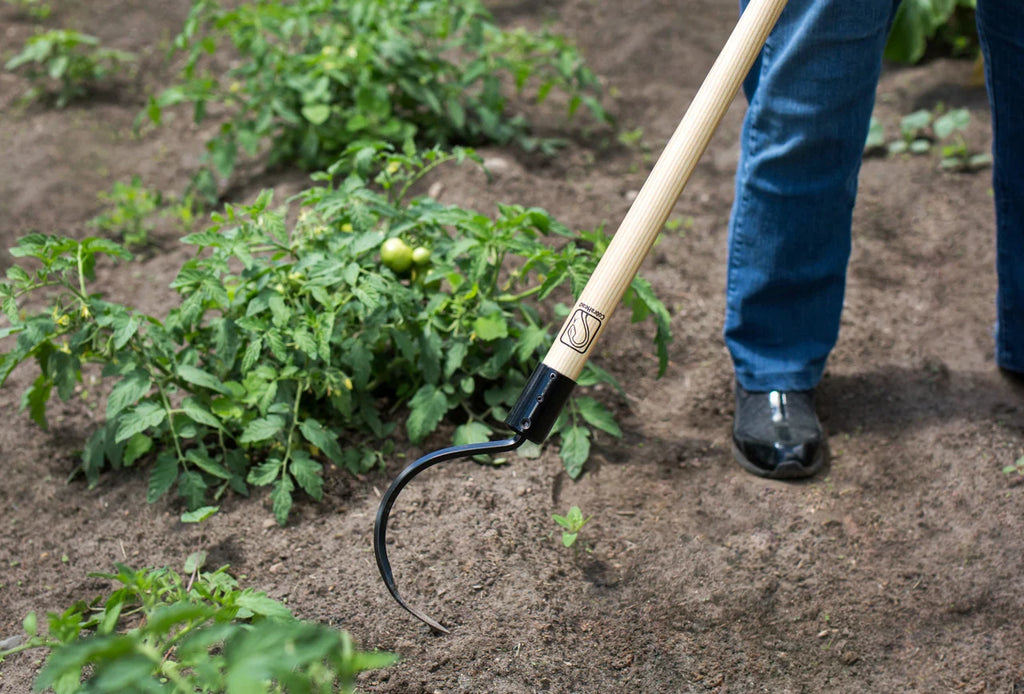 Long Handle Weeder and Cultivator for Standing Garden Work and Weeding Between Tightly Spaced Plants