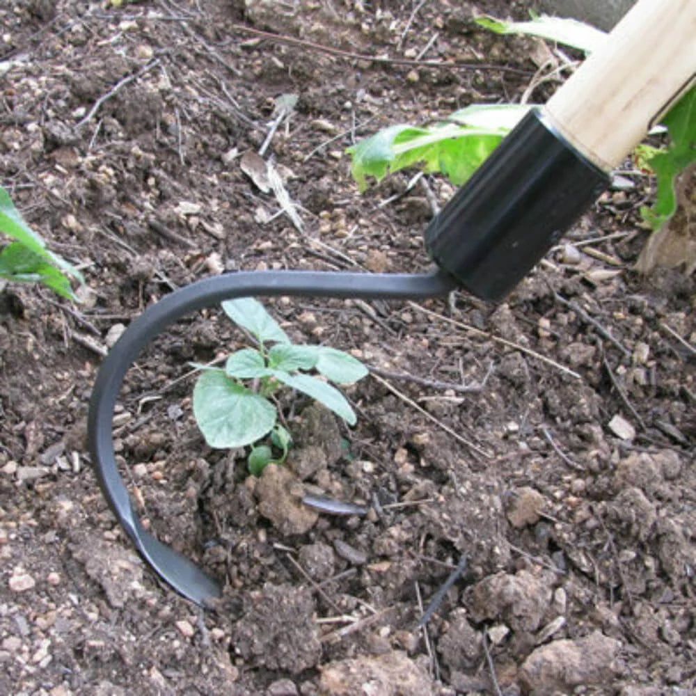 Long Handle Weeder and Cultivator for Standing Garden Work and Weeding Between Tightly Spaced Plants