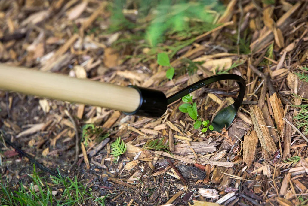 Long Handle Weeder and Cultivator for Standing Garden Work and Weeding Between Tightly Spaced Plants