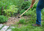 Long Handle Weeder and Cultivator for Standing Garden Work and Weeding Between Tightly Spaced Plants