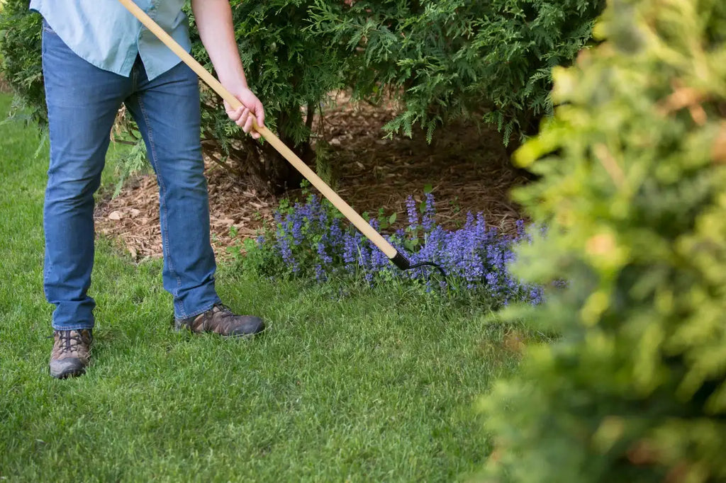 Long Handle Weeder and Cultivator for Standing Garden Work and Weeding Between Tightly Spaced Plants