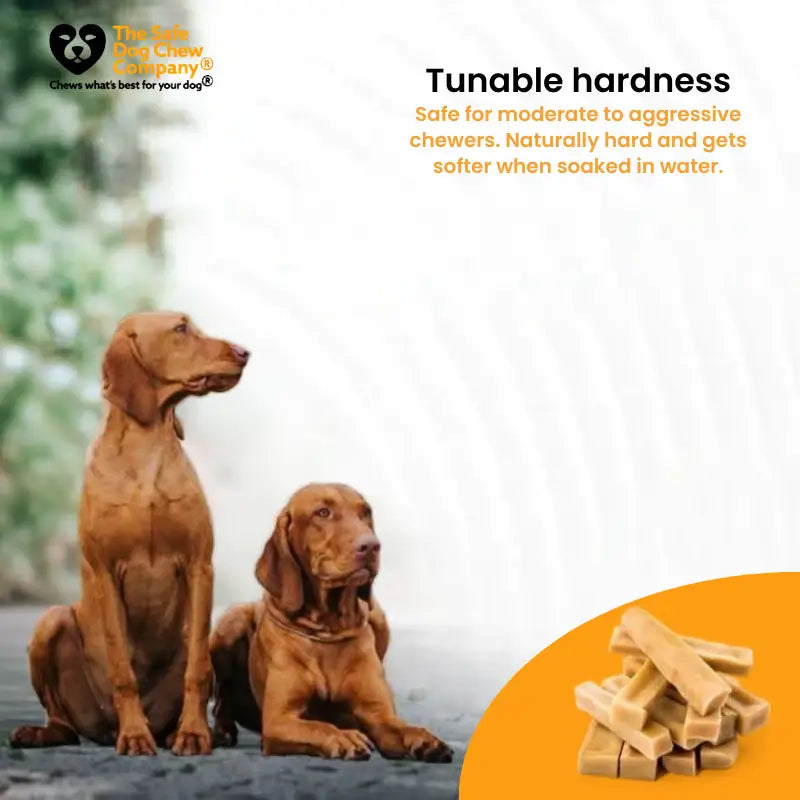 Long-Lasting Yak Cheese Dog Chews in Multiple Sizes and 3, 5, 10, or 20-Chew Packs · Yak Sticks
