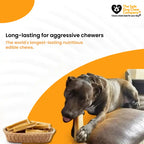 Long-Lasting Yak Cheese Dog Chews in Multiple Sizes and 3, 5, 10, or 20-Chew Packs · Yak Sticks