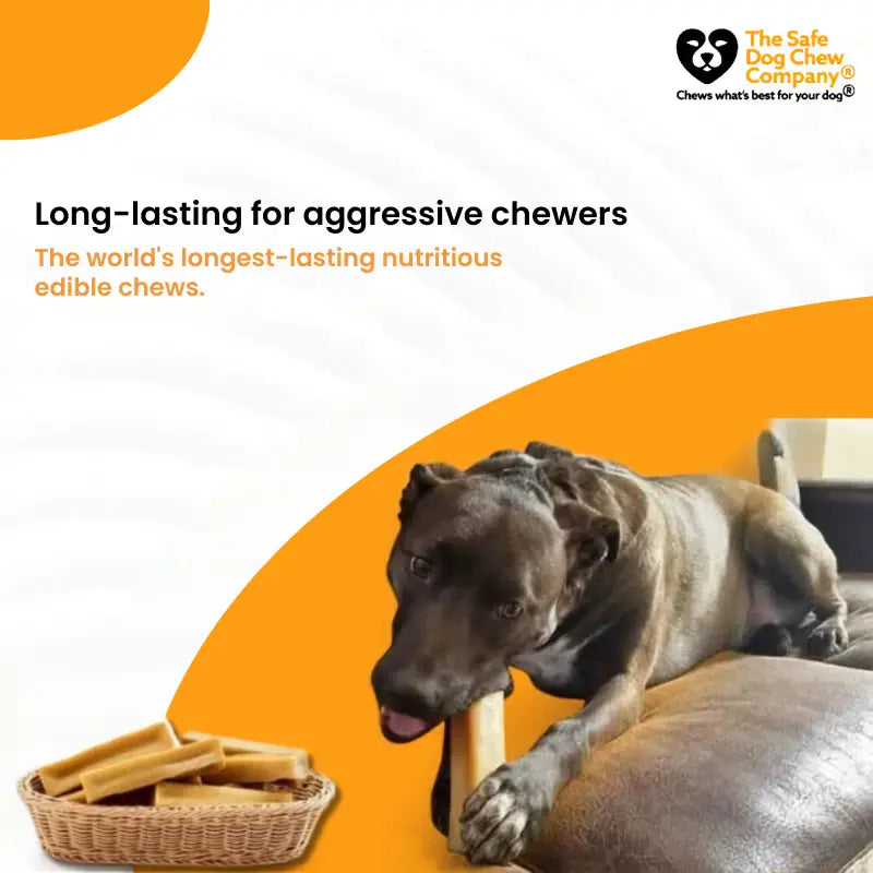 Long-Lasting Yak Cheese Dog Chews in Multiple Sizes and 3, 5, 10, or 20-Chew Packs · Yak Sticks
