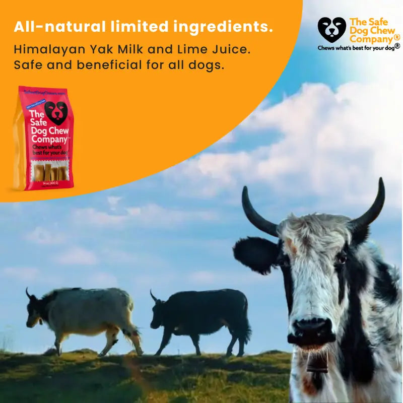 Long-Lasting Yak Cheese Dog Chews in Multiple Sizes and 3, 5, 10, or 20-Chew Packs · Yak Sticks
