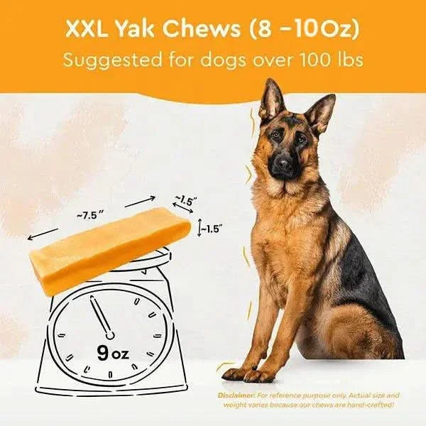 Long-Lasting Yak Cheese Dog Chews in Mu — 100+ lbs / 3-chews / 100+ lbs / 5-chews / 100+ lbs / 10-chews / 100+ lbs / 20-chews